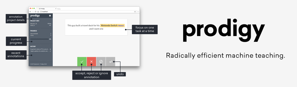 Prodigy: Radically efficient machine teaching